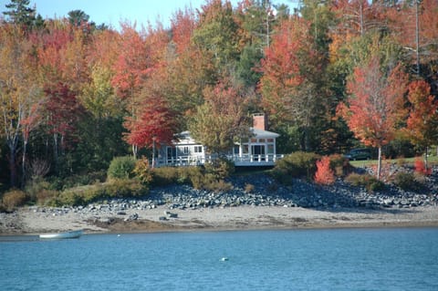 From the water in the  Fall