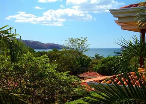 Ocean View from the Villa