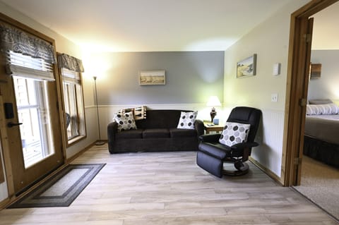 Cozy living room. New leather chair