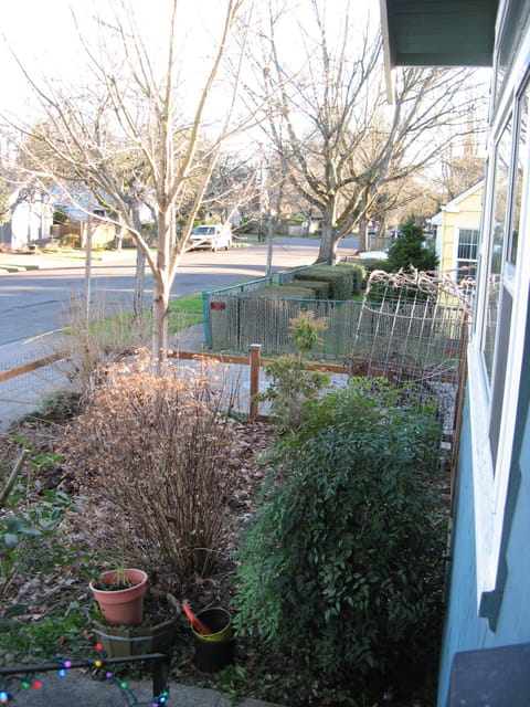 View from the front porch looking over the  spring garden.