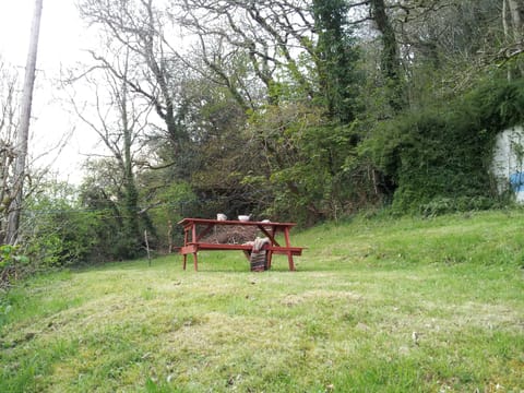 Part of the secluded cottage  garden - with bench
