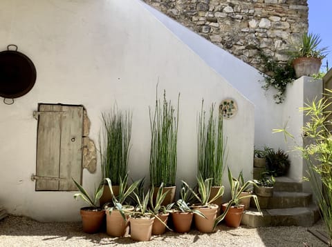 SHELTERED MEDITERRANEAN COURTYARD | A hidden gem with a touch of Iberian allure.