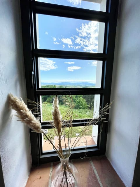 Views from the bedrooms
