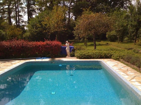 The swimming pool in the lower garden