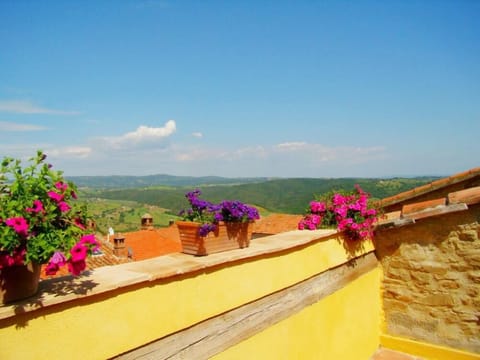 The terrace with view to the sea and Giglio island