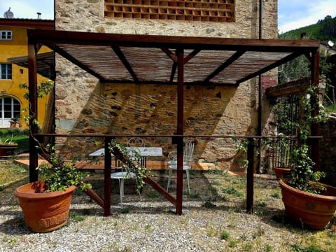 The new pergola, June 2019