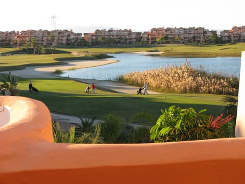 Stunning view from the terrace