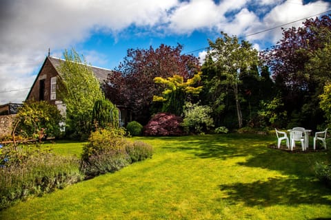 The peaceful, secluded back garden.