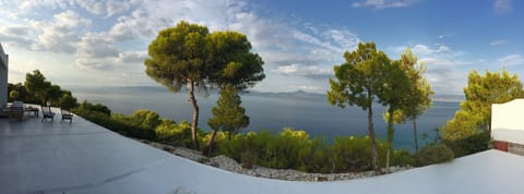 Fish eye view from the main veranda