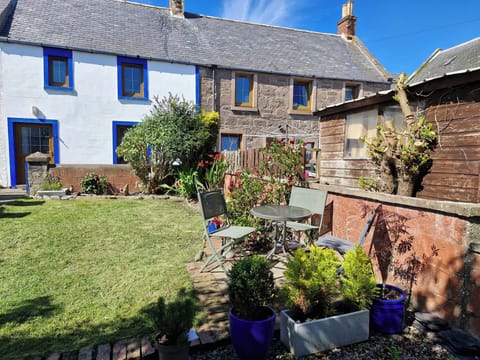 Cottage front and garden