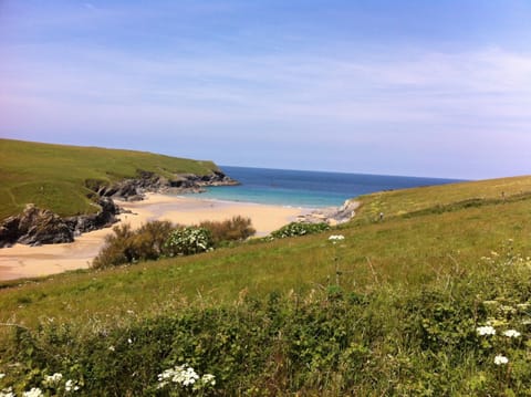 Local beach Polly Joke