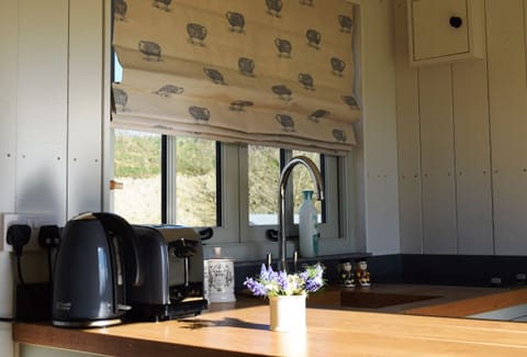 ...full of sunshine and sheep