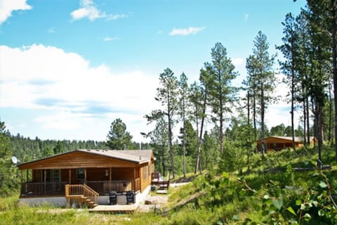 The Aspen with the Ponderosa in the background