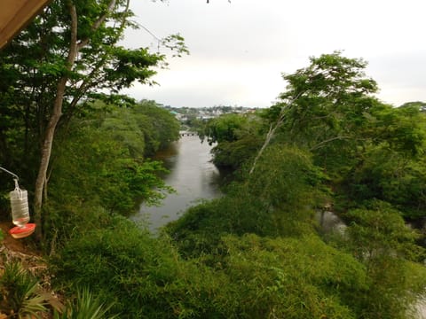 The View from Our deck