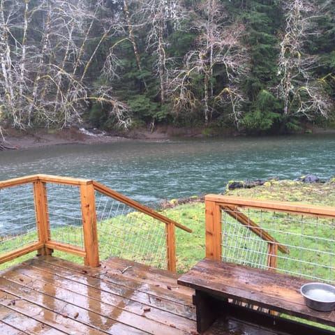 view from the back deck of the cabin. just a stones throw from river