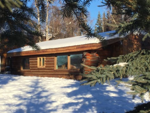The cabin from the river in winter. 