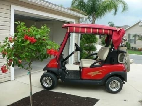 Gas Golf Cart