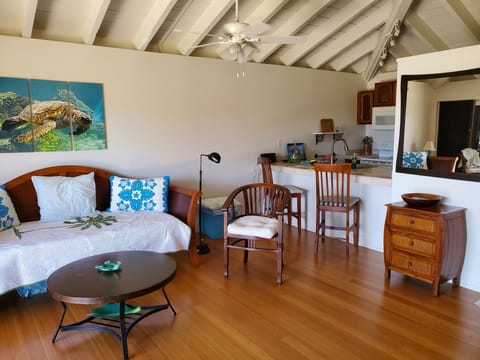 Living area and kitchen