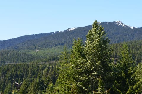 View from Condo and Deck