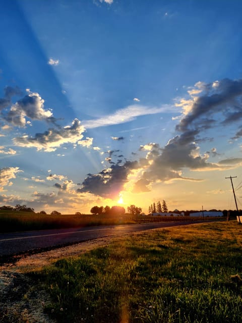 Sunrise from top of driveway looking toward Stoller's tasting room
