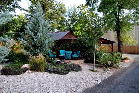 The back yard is huge