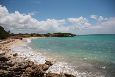 PARADISE COVE, PRIVATE BEACH, WALK, SWIM, SUNBATH, SHELL SEARCH, IT'S ALL HERE