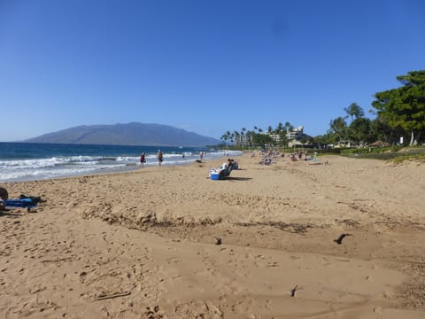 Beautiful Kamaole II beach, directly across the street from the Kihei Kai Nani. 