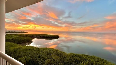 Balcony View - BREATHTAKING!
