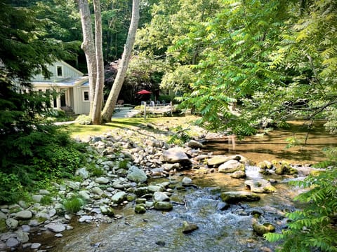 Waterfront cottage on Piney River is clean, bright, shining mountain water.