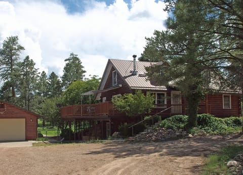 Adorable log cabin surrounded by beautiful trees and plants