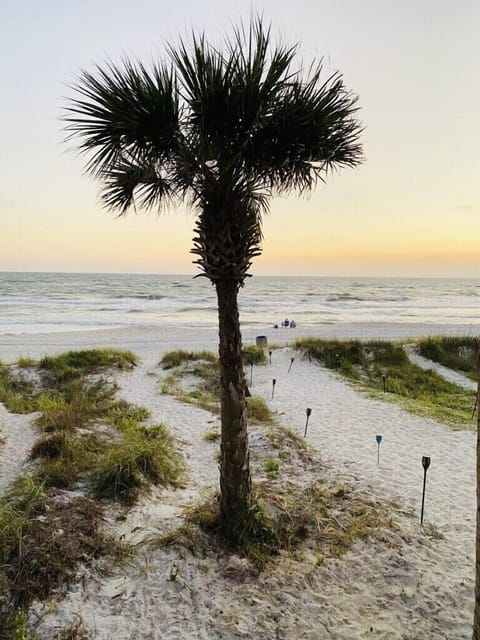 Steps Away From the Gulf!