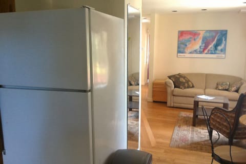 view of living room from the kitchen