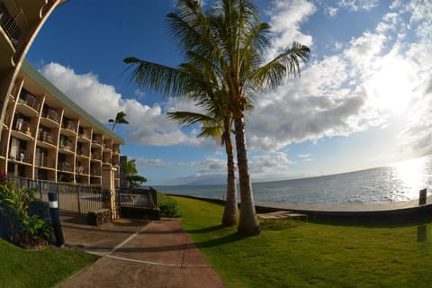 New landscaping along our seawall and the Pacific