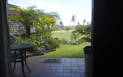 View from the lanai