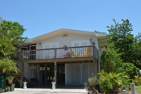 Front view