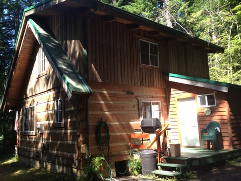 Camp Wolf At Lake Cushman