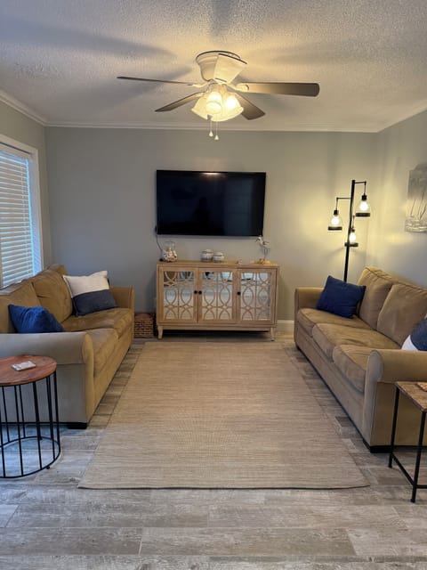 Living room with queen size pull out couch