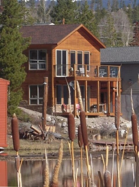 The House viewed from across the lake through cat tails in the estuary