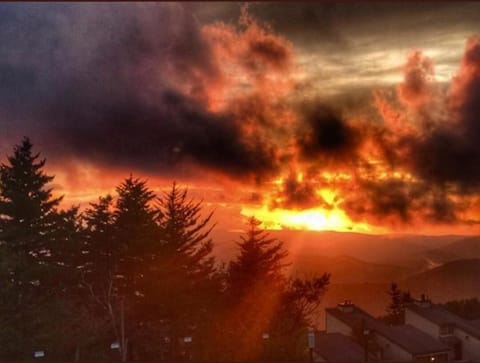 Fire on the Mountain
