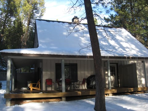 WINTER CABIN & Summer