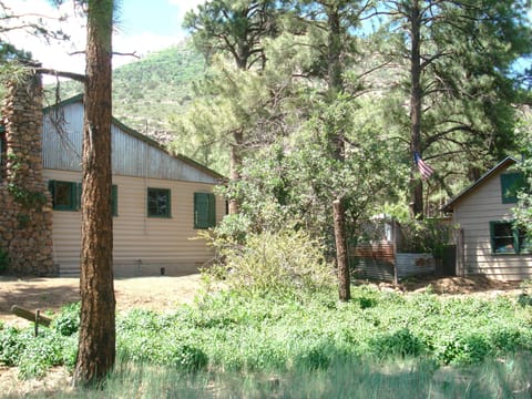 View  of the house from the front yard