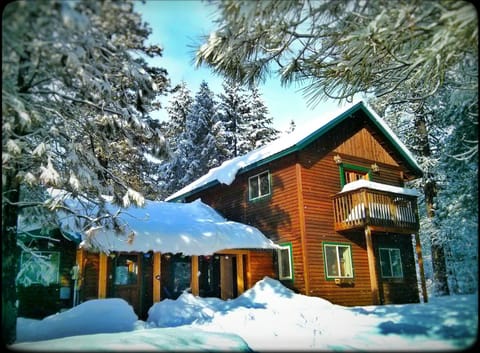 Come play in the snow!
