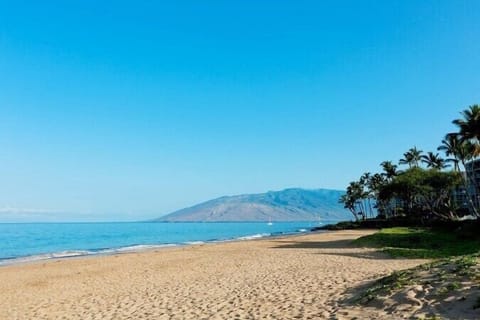 KAMAO'LE BEACH II  One of the most family friendly on the island!