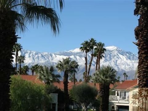 Mountain View from various condos