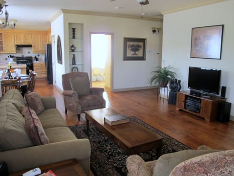 Living Area - slide the furniture around and there is room to dance!