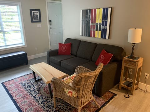 Newly updated! Pull Out Queen size sofa bed!
