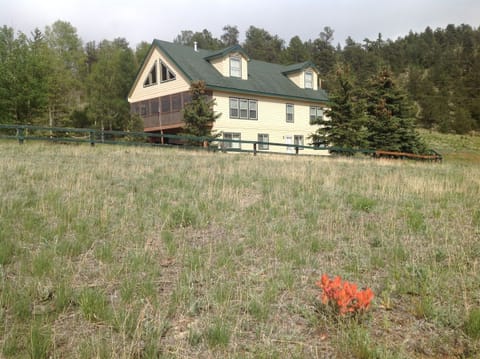From field leading to river, Indian Paintbrush found in abundance.