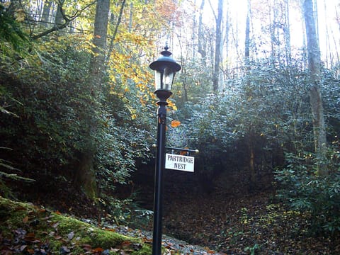 Welcome to The Partridge Nest