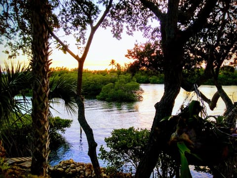 River view from property