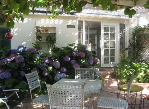 Enjoy the grape arbor and hydrangeas on the back patio